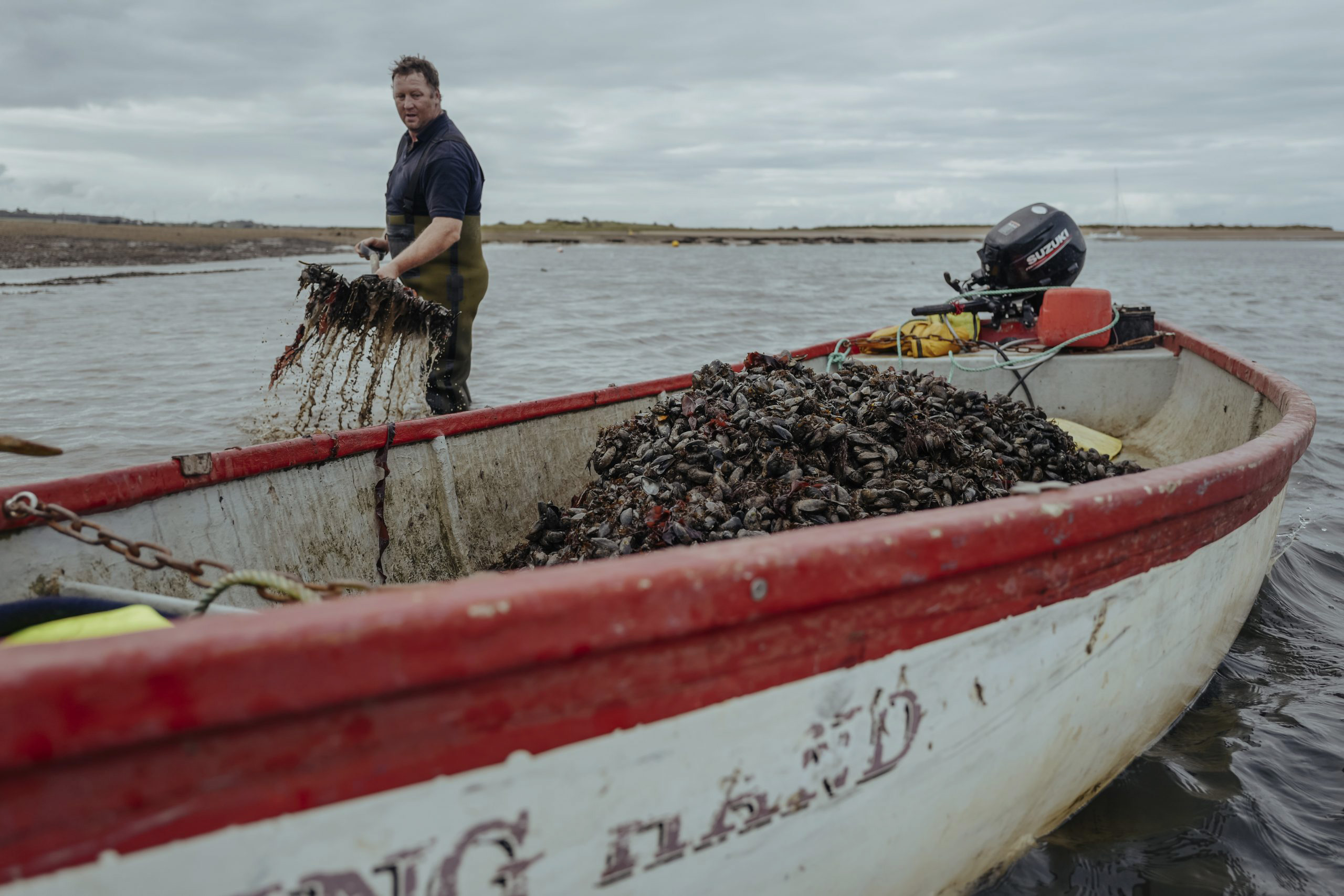 Mussel farmer
