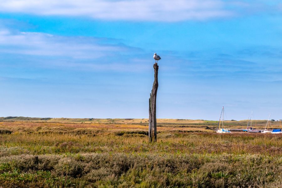 Secondary Image